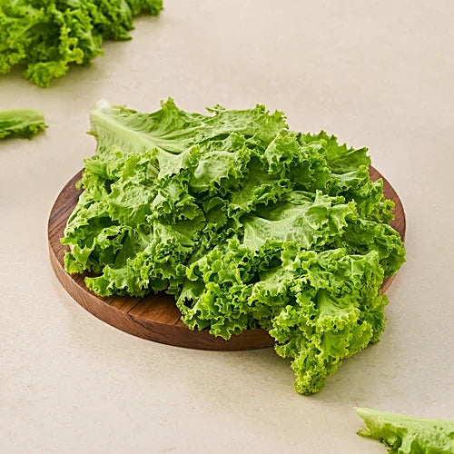Green Lettuce