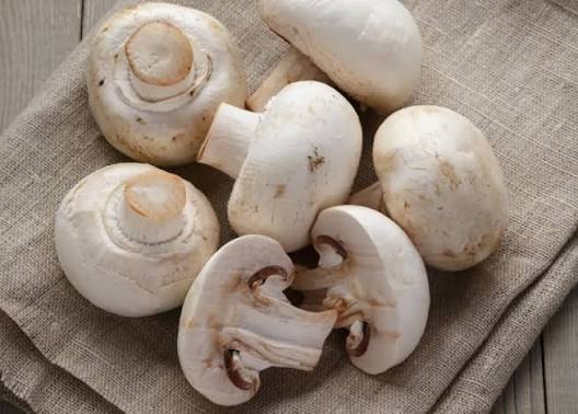 Button Mushroom