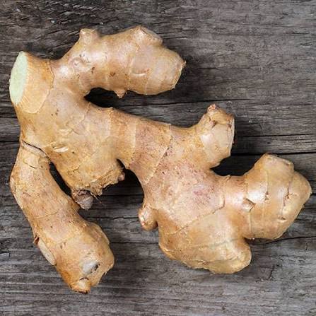 Ginger(Adrak)