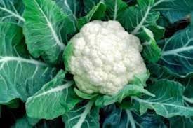 Cauliflower (phulkobi)