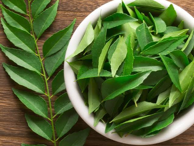 Curry Leaves (Curry Pata)