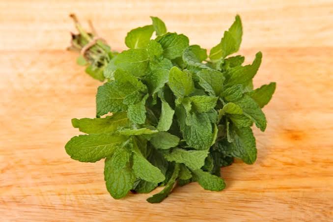 Mint Leaves(Pudina Pata)
