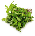 Mint Leaves(Pudina Pata)