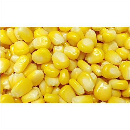 Sweet Corn