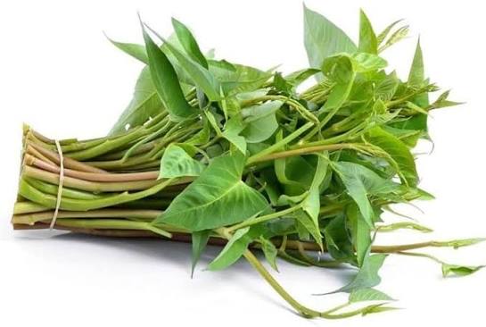 KOLMI SHAK ( WATER SPINACH)