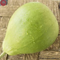 Bottle Gourd (Gol Lau